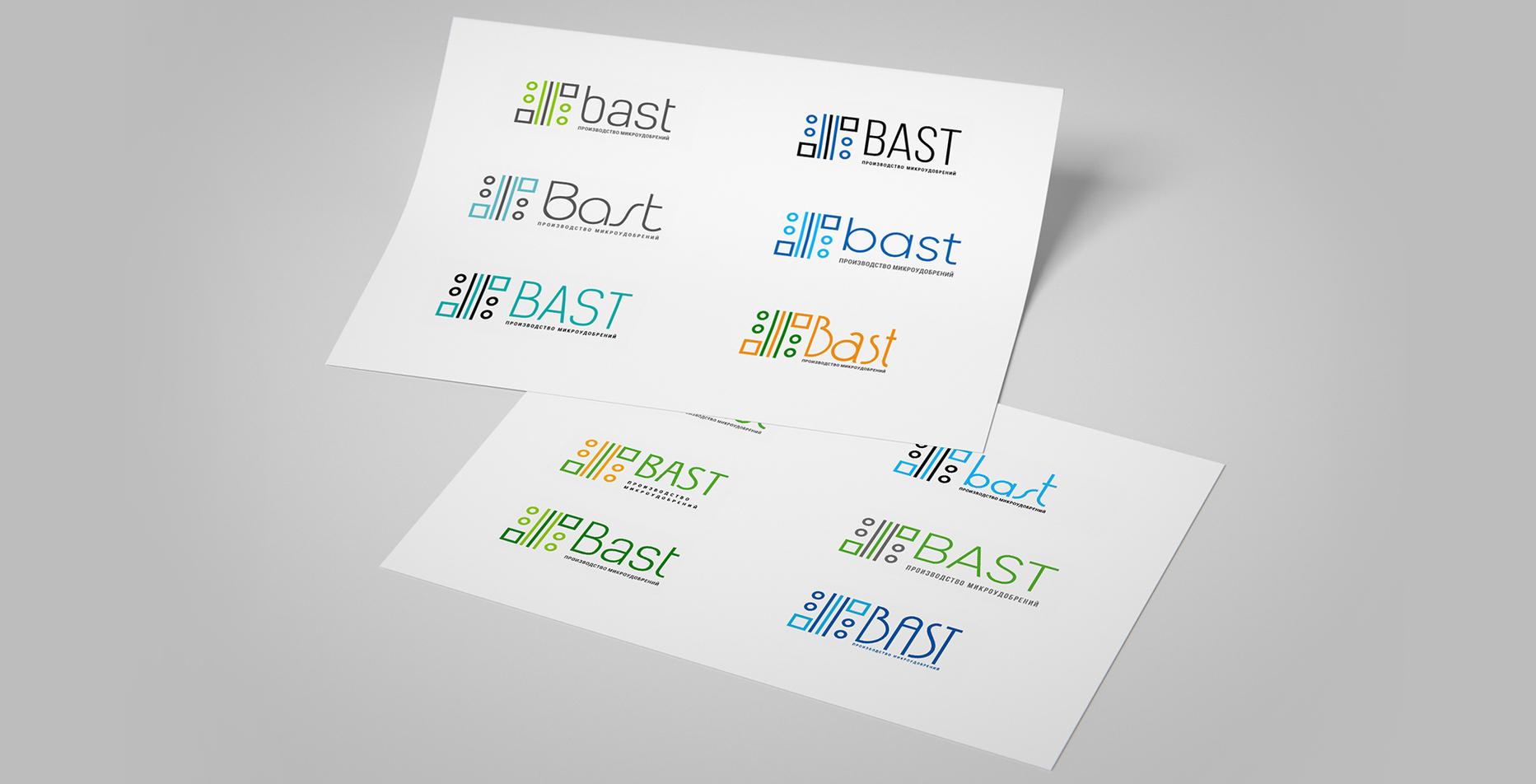 Case: website development, logo, video and branding for Bast — Rubarb - Image - 3