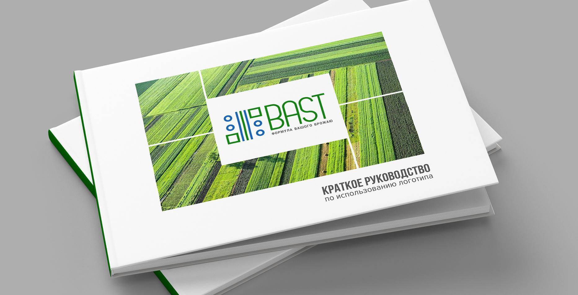 Case: website development, logo, video and branding for Bast — Rubarb - Image - 5