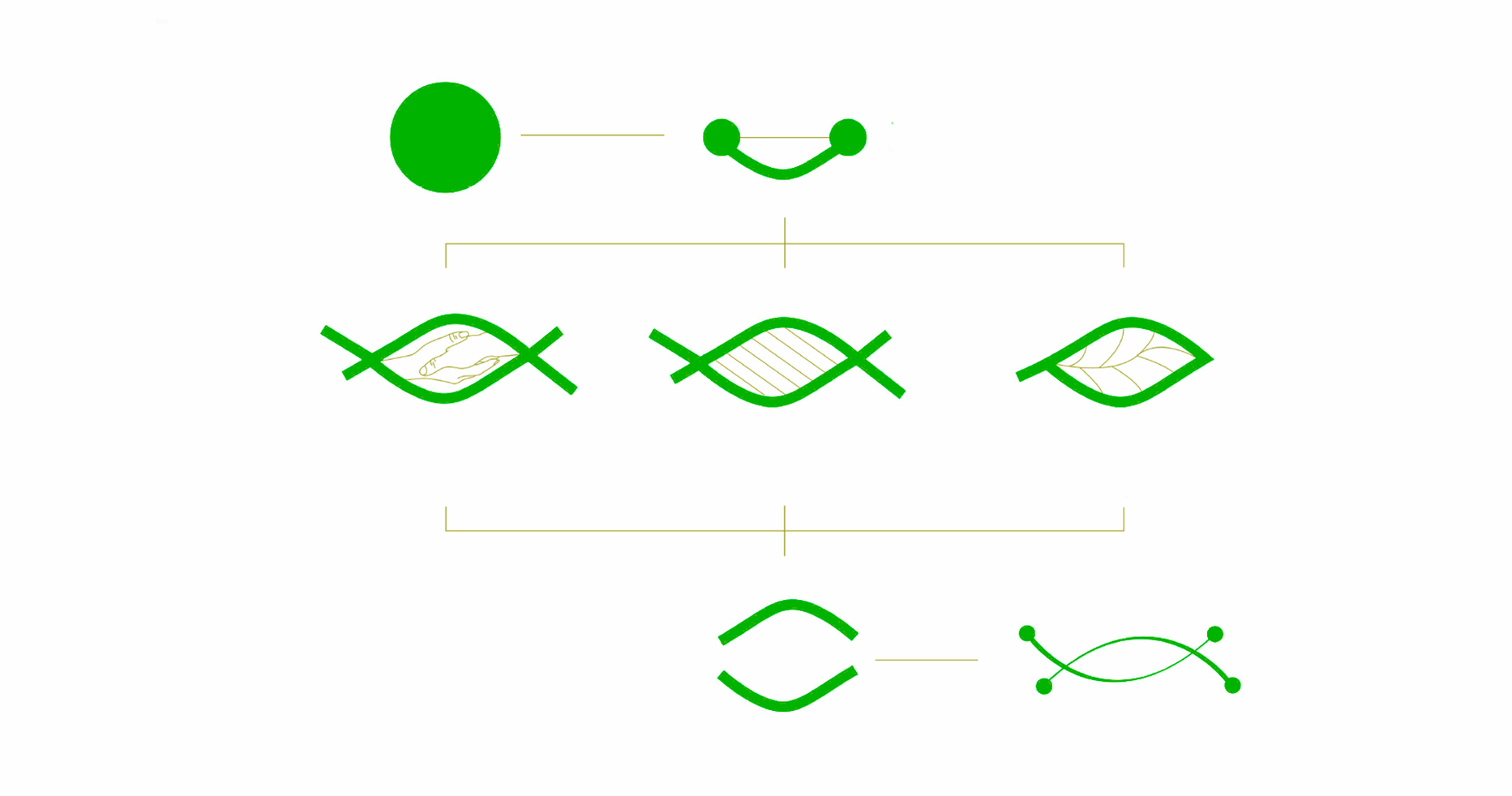 Case: logo creation, booklet, positioning and rebranding for the company Bioresources — Rubarb - Image - 3