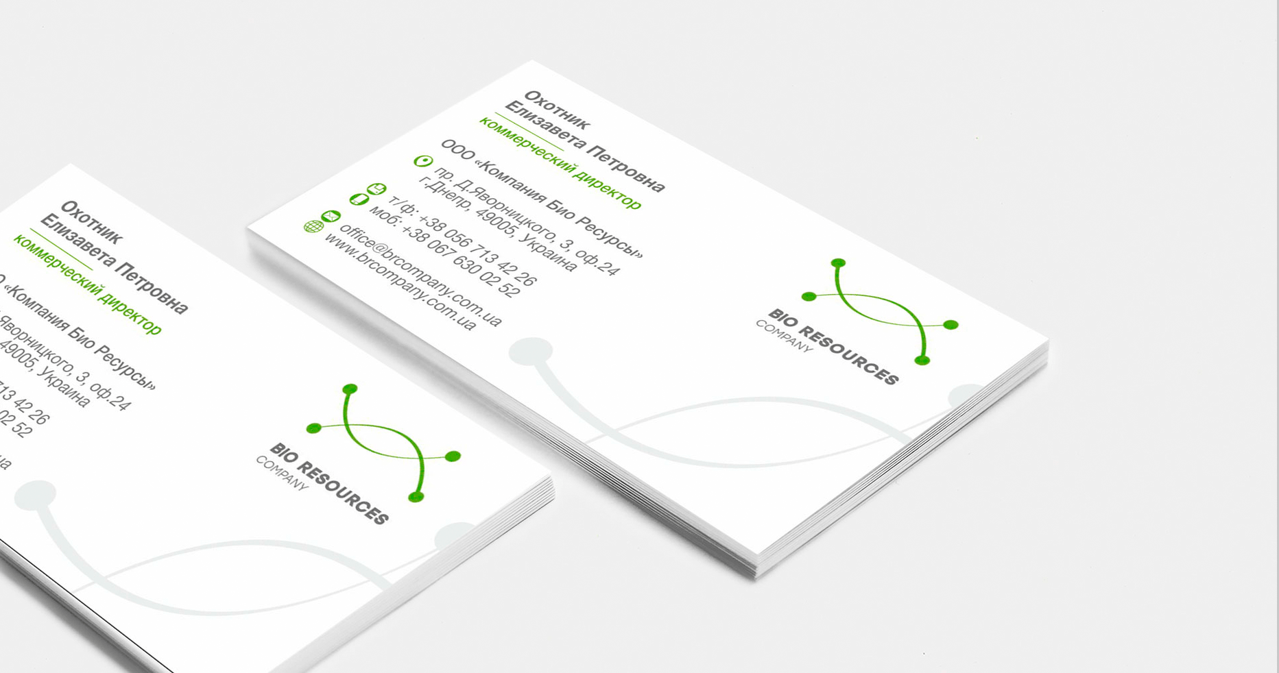 Case: logo creation, booklet, positioning and rebranding for the company Bioresources — Rubarb - Image - 6