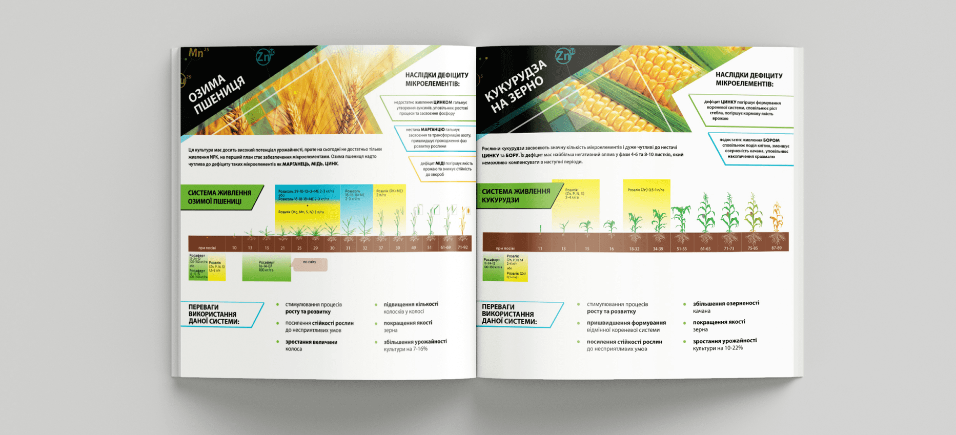 Project: rebranding, brand book  — Rubarb - Image - 14