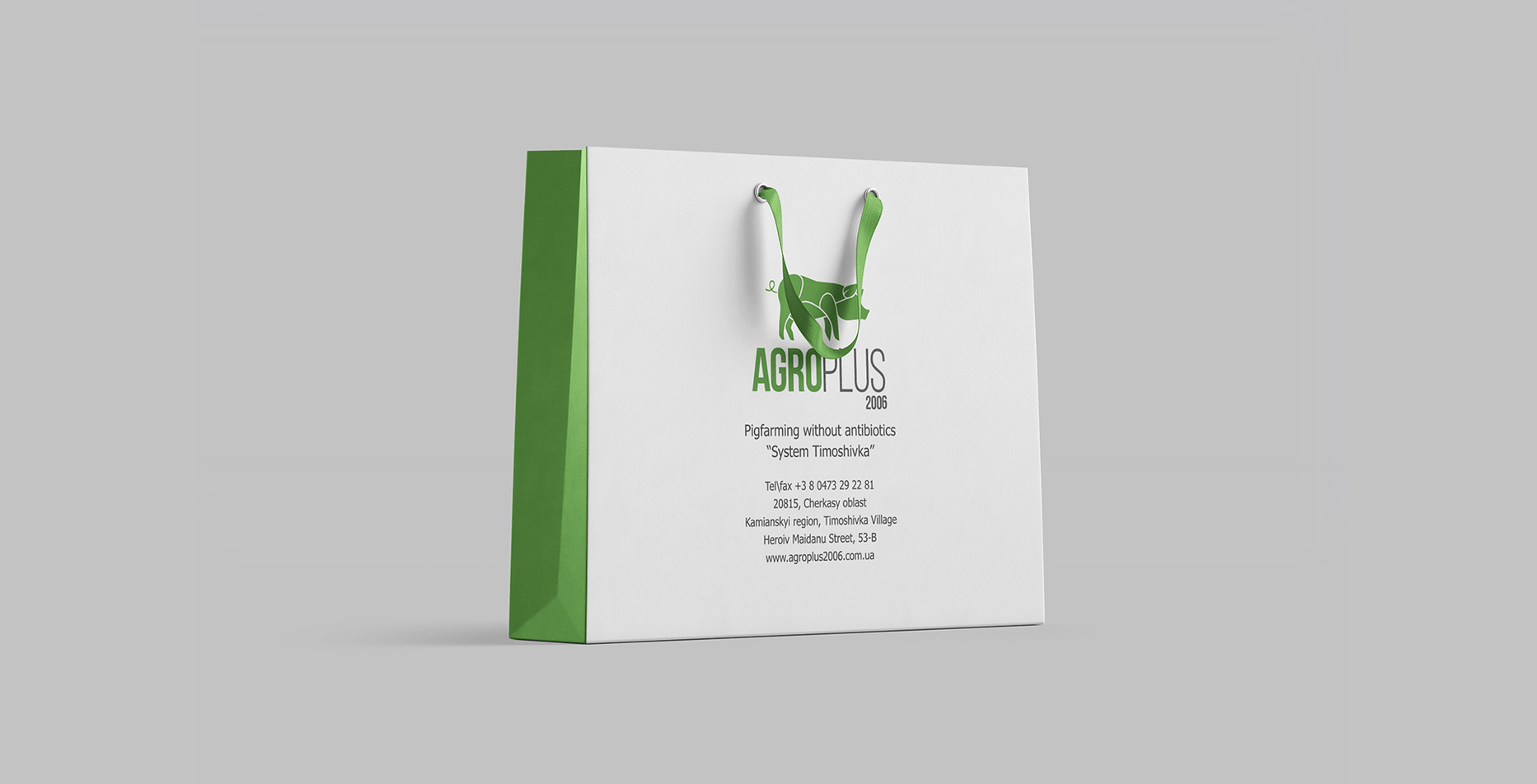 Case: logo design, landing and branding for Agroplus 2006 — Rubarb - Image - 6